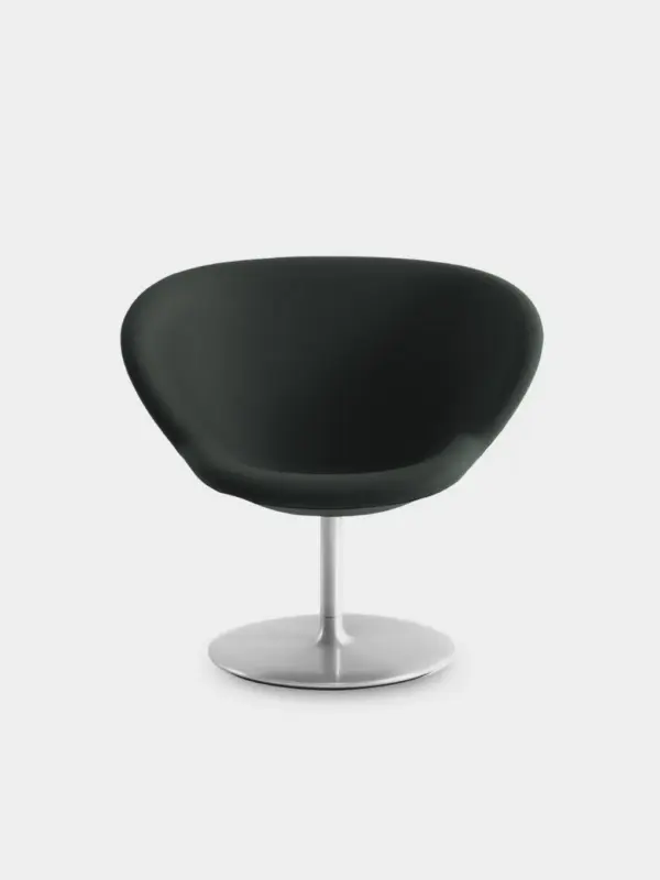 shop-product-17 Egestas Purus